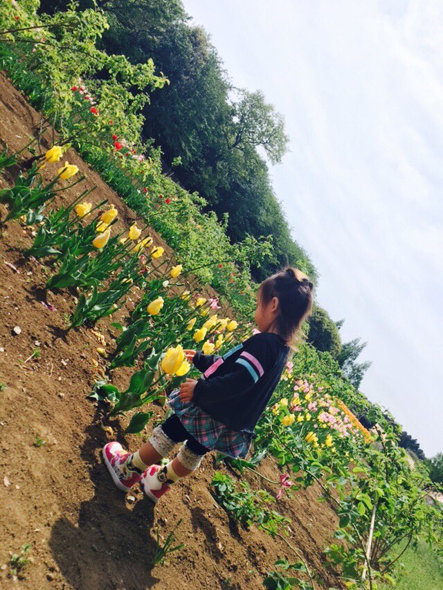 ARS_Y824's tweet photo. 紗菜がまたディズニー行きたいって言うもんだから頑張ろうかな🐥 https://t.co/GrHcWFsI9W