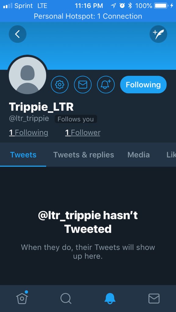 Zoom_LTR tweet media