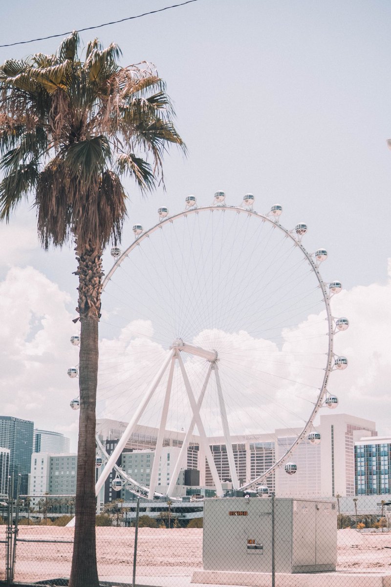 stevenvan_'s tweet image. Back to Life