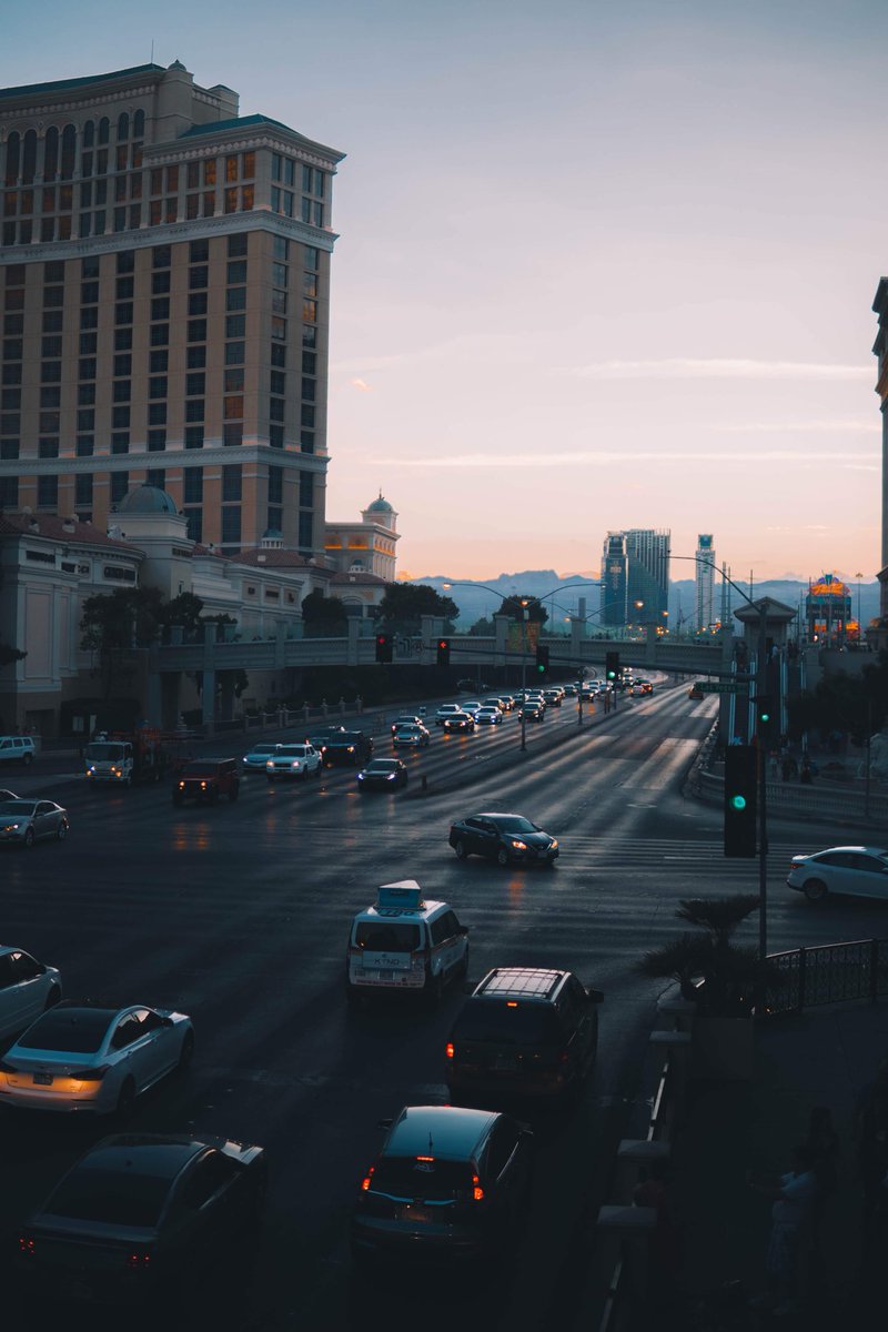 stevenvan_'s tweet image. Back to Life