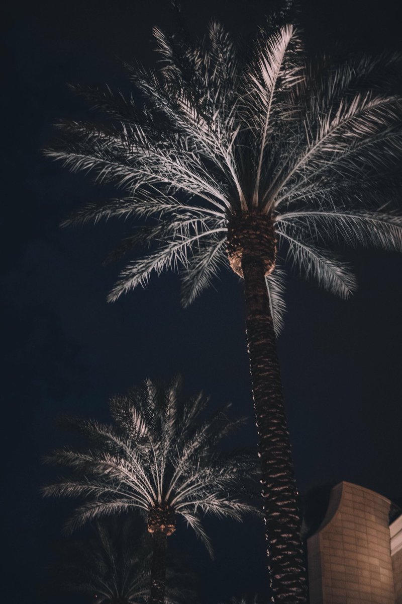 stevenvan_'s tweet image. Back to Life