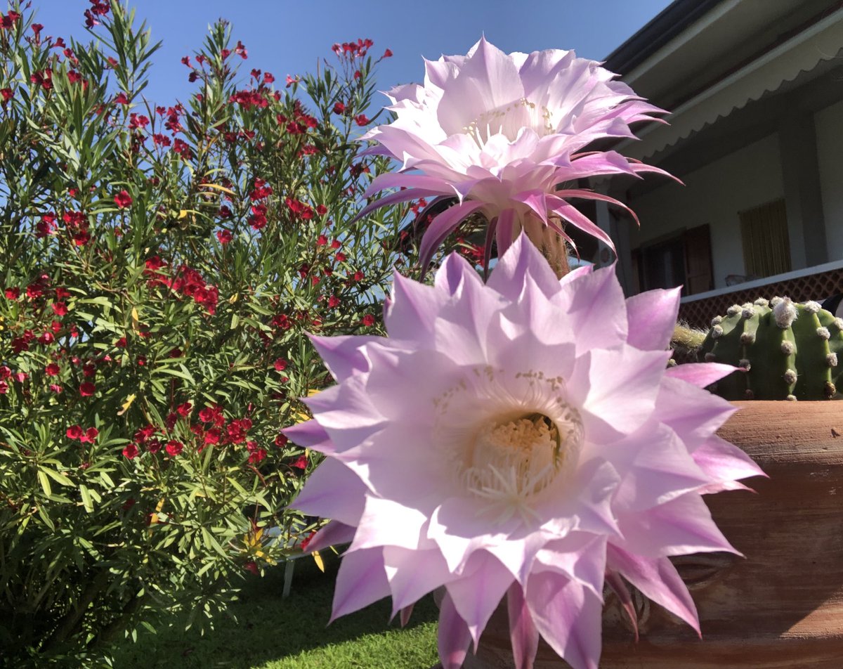 Enjoying holidays in Tuscany with family. No agenda, except the sun💛☀️