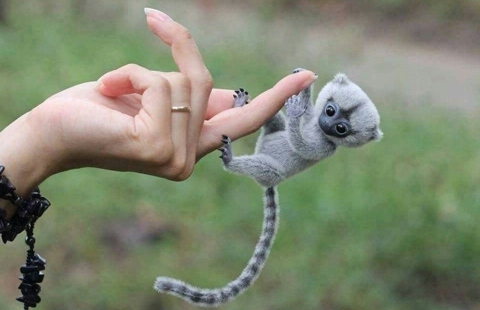 awranting's tweet photo. so cute .. https://t.co/JtZCAy4oGI