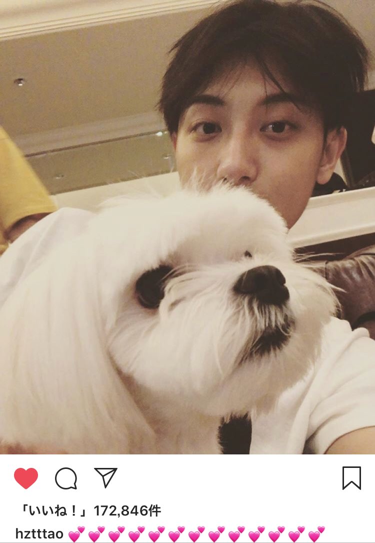 180801 Instagram更新
【💕💕💕💕💕💕💕💕💕💕💕💕💕】
instagram.com/p/Bl618e8Hvb7/…
#黄子韬 #タオ #ZTAO #타오 <a href="/hztttaoswag/">Z.TAO🔴黄子韬</a>