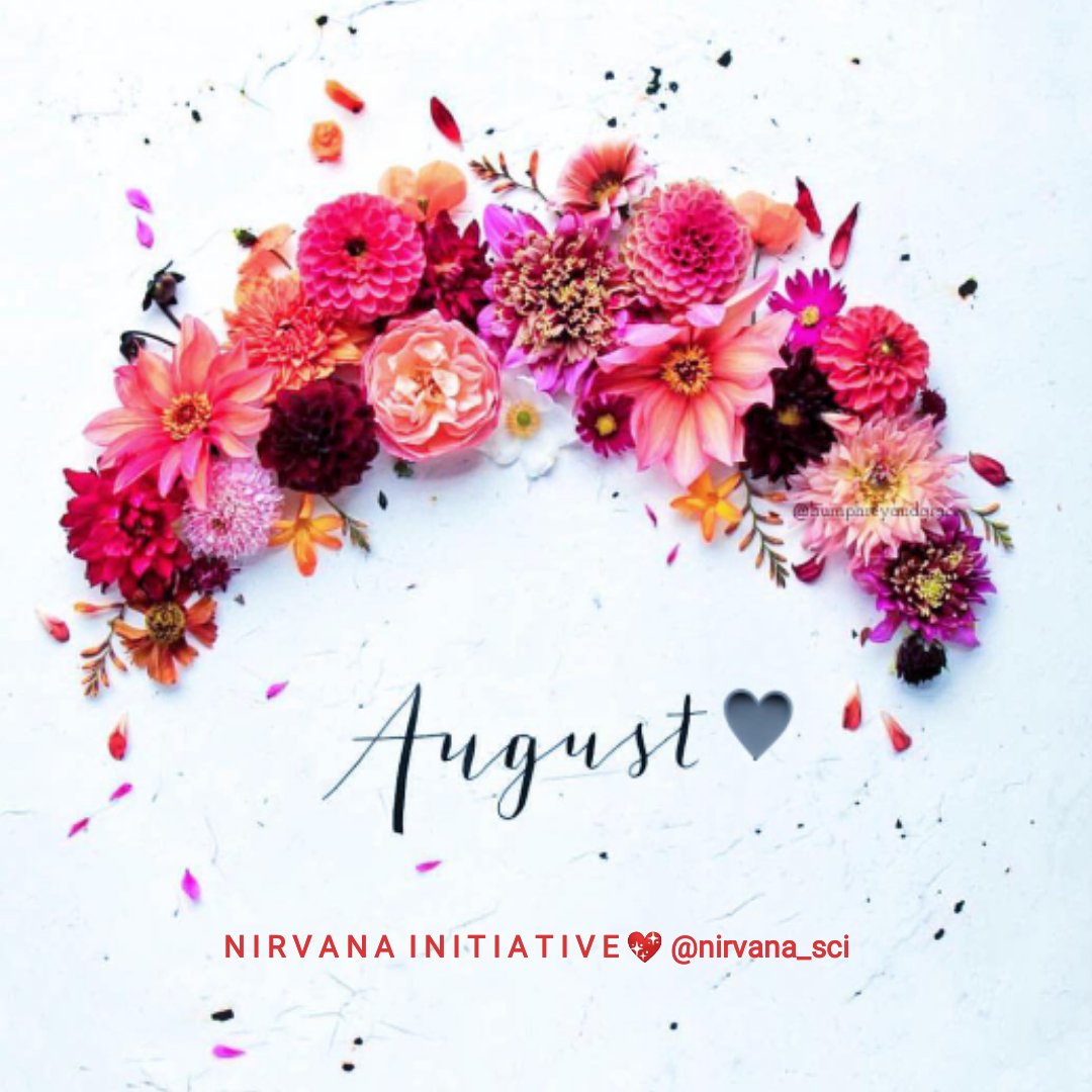 nirvana_sci's tweet photo. Happy new month to all the warriors out there and our followers. Sending love and light your way. π€π₯
#Nirvana_sci
#LoveHopeSupport
#warriorsnotsicklers
#warriorsnotworriers
#endsicklecellinourgeneration
#knowyourgenotype
#warriorsnotsicklers https://t.co/3ZsiZMlaIX