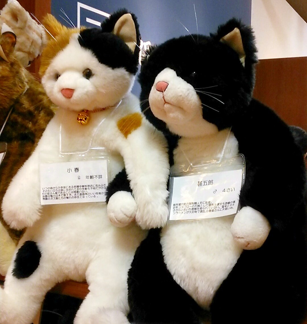 ダークブラウン 茶色 週末値下げ!カドリー 小春姐さん 甚五郎