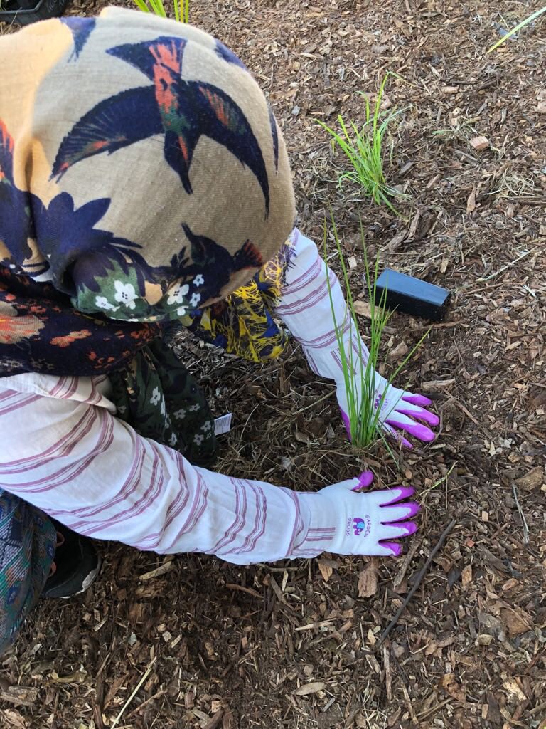 lajnaau's tweet photo. For #NationalTreeDay of @PlanetArk , our young girls and ladies took part in the tree planting initiative in suburbs of Sydney, Canberra, Adelaide and various areas in Queensland. Planting trees is akin to acts of charity in Islam. https://t.co/z4PHPSgFIG