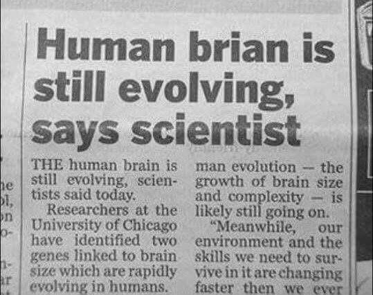 jfmouthonlegs's tweet photo. Not the human brian I know. https://t.co/krmb9v3ymN
