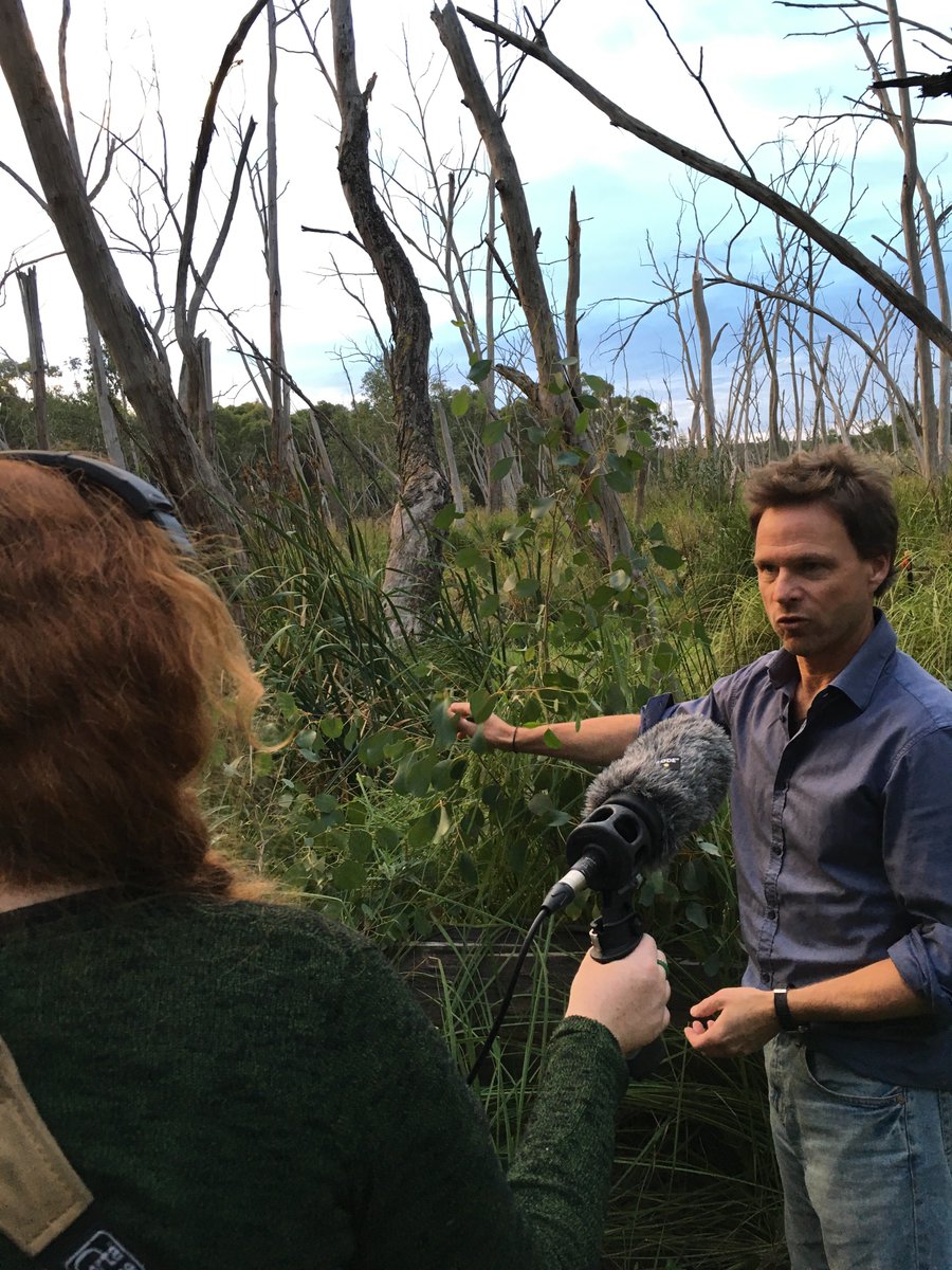 The final episode of <a href="/ZoosVictoria/">Zoos Victoria</a>'s #podcast series Fauna takes you into the forest for a magical night to search for one of Victoria’s most elusive creatures. It's out today and you can listen here: bit.ly/2NZvzaw