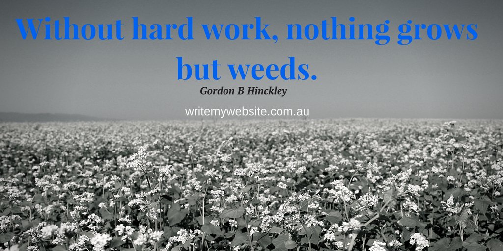 WriteMyWebsite's tweet image. 