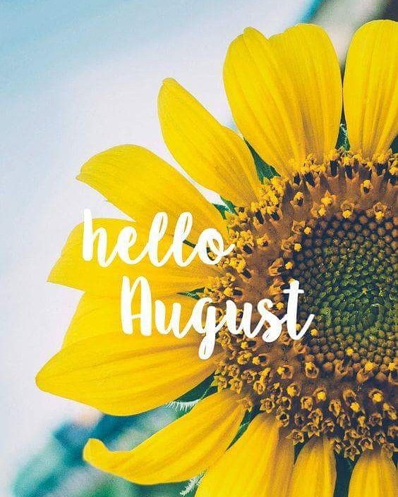 Bonjour août!
Nous restons ouvert tout le mois 7/7. 
Oui le 15 août aussi. 

Petit déjeuner jusqu'à 11h, déjeuner le midi et bar à dessert l'après midi.