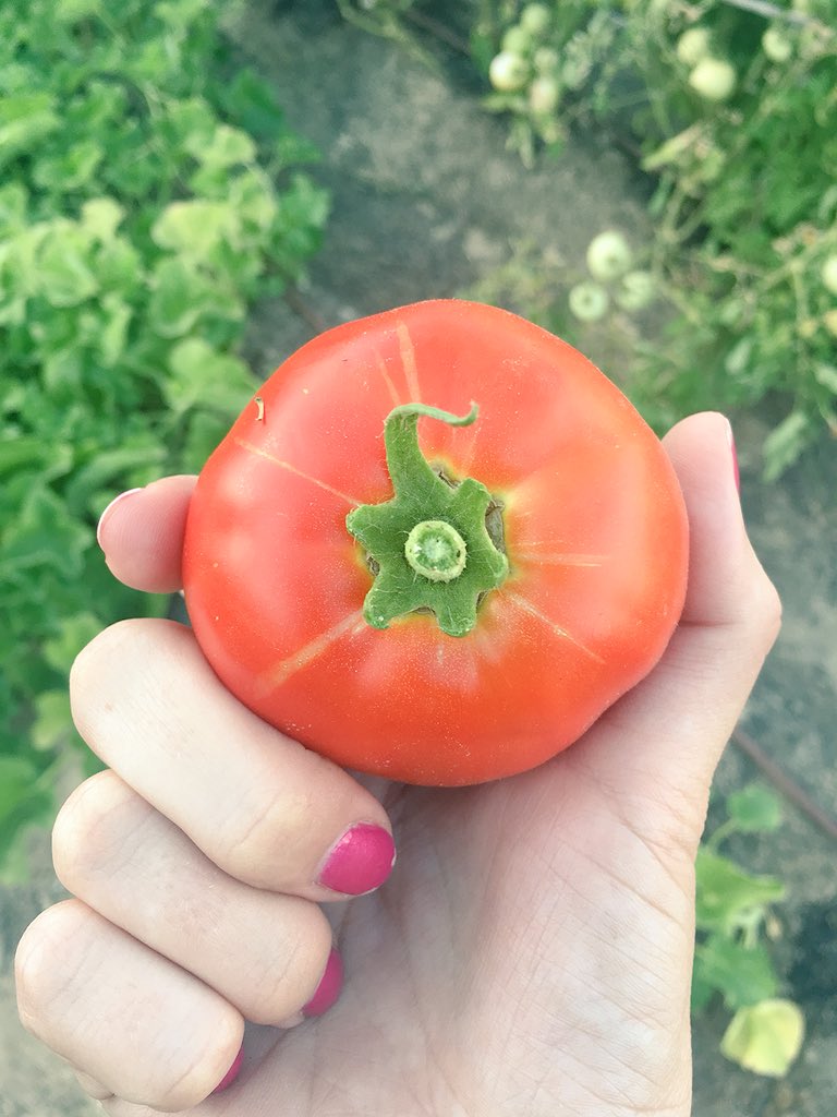 ¿Ya conoces el huerto LAS VÍAS? Si quieres ser parte del huerto, pásate por aquí el primer miércoles de casa mes a las 20h. (Detrás del polideportivo Samaranch). #arganzuela #barrioimperial