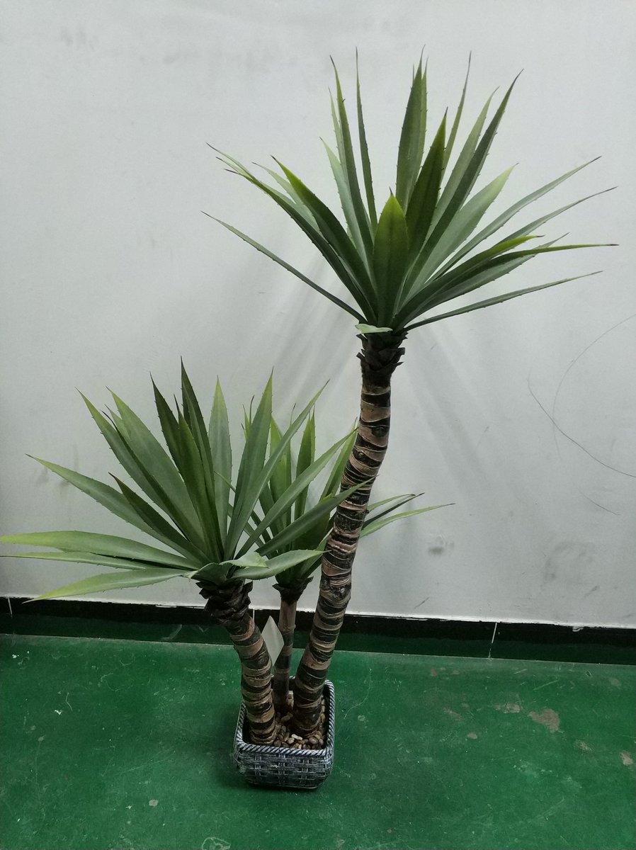 Jack yang (@jackyang2006) on Twitter photo 