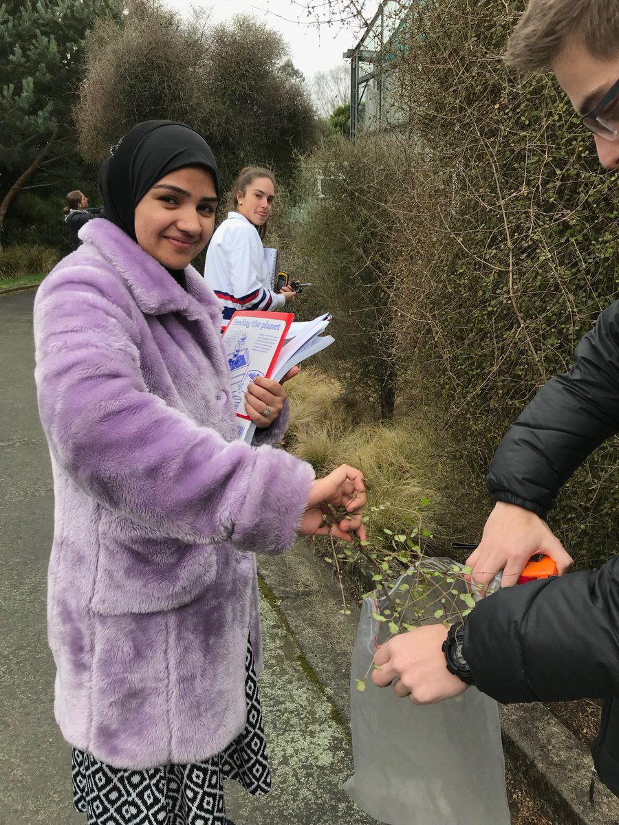 pbpelser's tweet photo. University of Canterbury BIOL215 Origins and Classification of Life course in full swing! Collecting soil samples and #Coprosma specimens for #taxonomy and #phylogenetics @UCNZscience @UCNZbiology https://t.co/kZyRFt16Mm