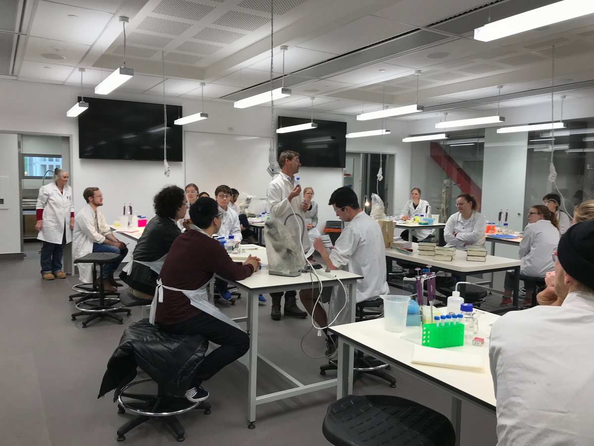 pbpelser's tweet photo. University of Canterbury BIOL215 Origins and Classification of Life course in full swing! Collecting soil samples and #Coprosma specimens for #taxonomy and #phylogenetics @UCNZscience @UCNZbiology https://t.co/kZyRFt16Mm