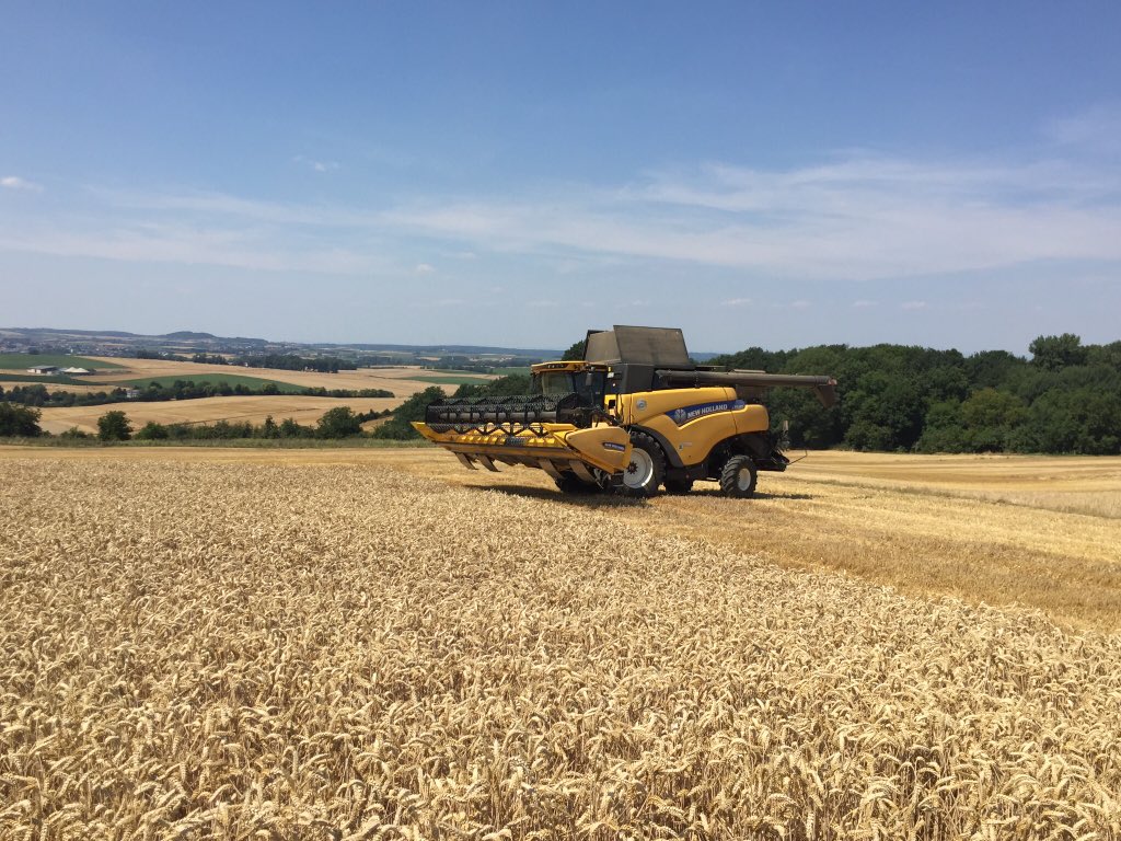 HofSeeger's tweet image. Heute haben zwei Azubis (1. und 3. Lehrjahr) ihren 1. Tag bei uns. Sowie eine eben ausgelernte Werkerin, ergänzt ab heute unser Team. Schön das es immer noch junge Leute gibt, die den Beruf Landwirt lernen und ausüben möchten. #wmes