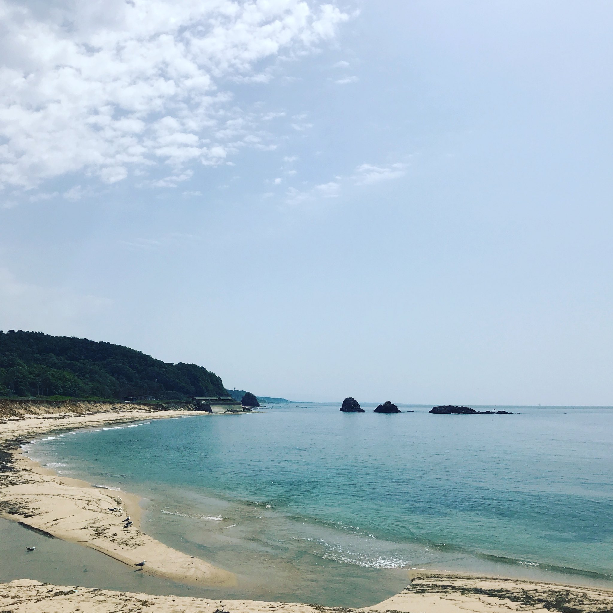 臥牛山 村上市 公式 笹川流れは海水浴シーズン真っ只中ですが バーベキューしてそのまま放置して帰る方達が急増しているそうです 石を積んで網を置いてするタイプで 積んだ石も炭も網もゴミもそのままらしいです 新潟県 村上市 笹川流れ