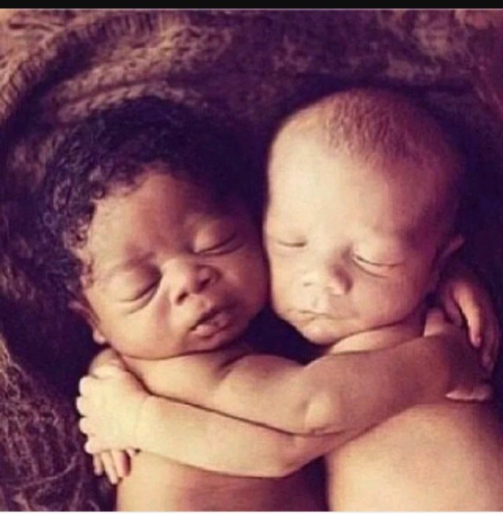 𝕱𝖗𝖆𝖙𝖊𝖗𝖓𝖎𝖉𝖆𝖉𝖊𝖘 tweet media