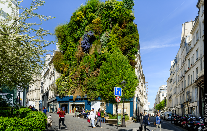 OFBiodiversite's tweet photo. #MaBiodiversité - En cette période de forte chaleur, saviez-vous que la présence d'arbres en ville peut permettre de baisser la température de 2 degrés ! Merci la #biodiversité ! 
https://t.co/7lcE0mggFC https://t.co/rcKKxSNSTM
