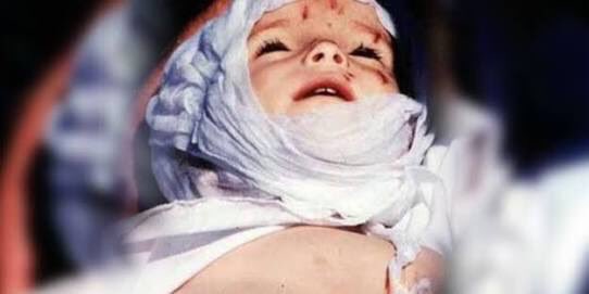 nedimsener2010's tweet image. Alçak pkk 40 yıl önce ne ise 40 yıl sonra da aynıdır. Her kim aşağılık pkk ile Kandil’i, elebaşı öcalan’ı ağzına alırsa #BebekKatiliKahpePKK uşağıdır