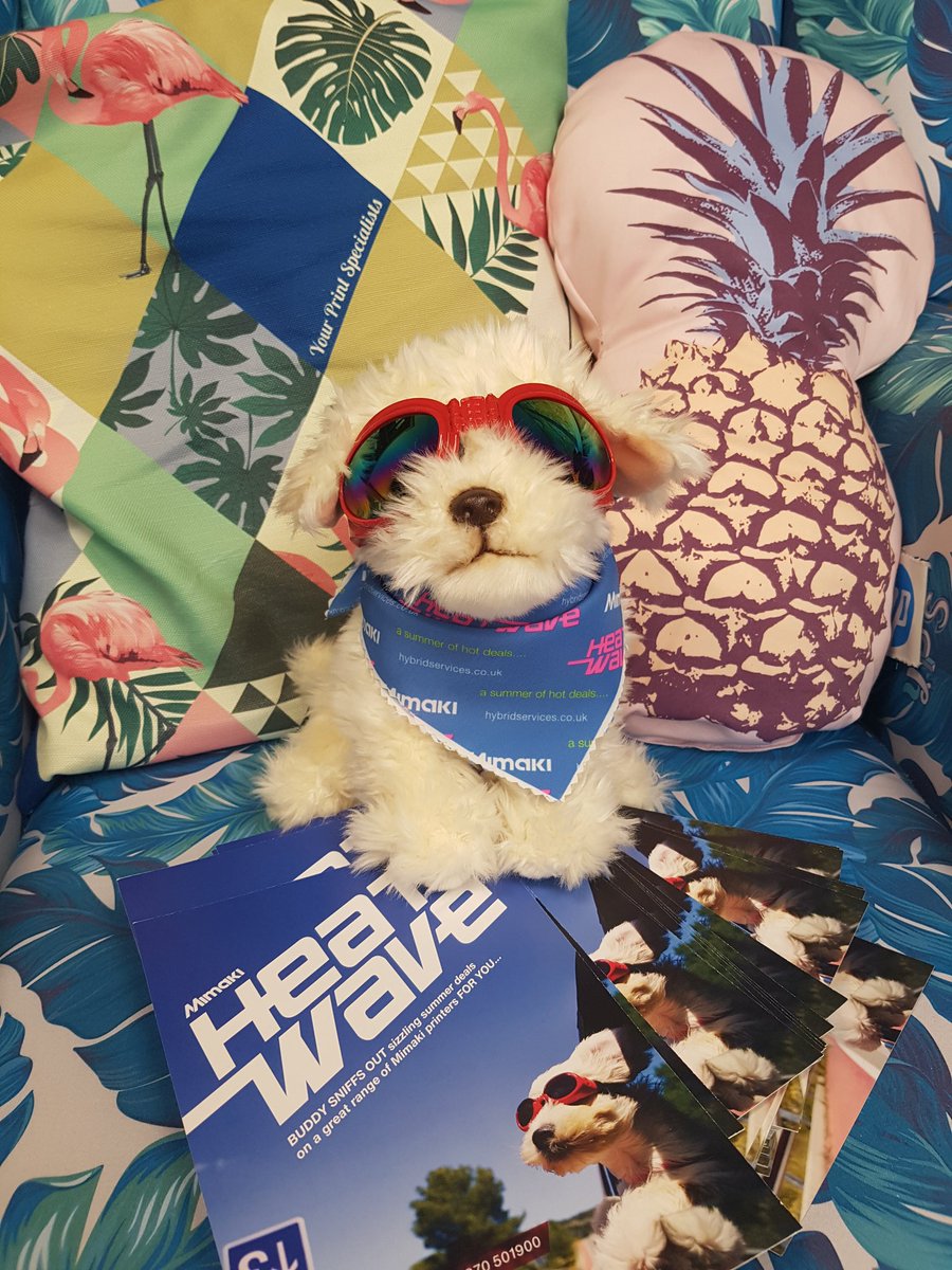 YPS ( YPS Digital) Twitter