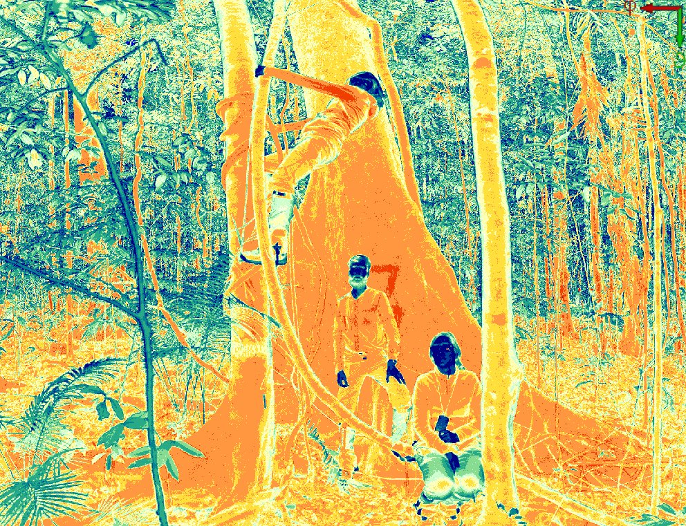 kimcalders's tweet photo. Finished the terrestrial #lidar work at @TERN_Aus Robson Creek: 2 hectares and 242 scan locations in 9 days. Off to Cape Tribulation next for more scanning with @CAVElab_UGent @jcu @LouiseTerrynn @RIEGL https://t.co/aZ4n7oflZf