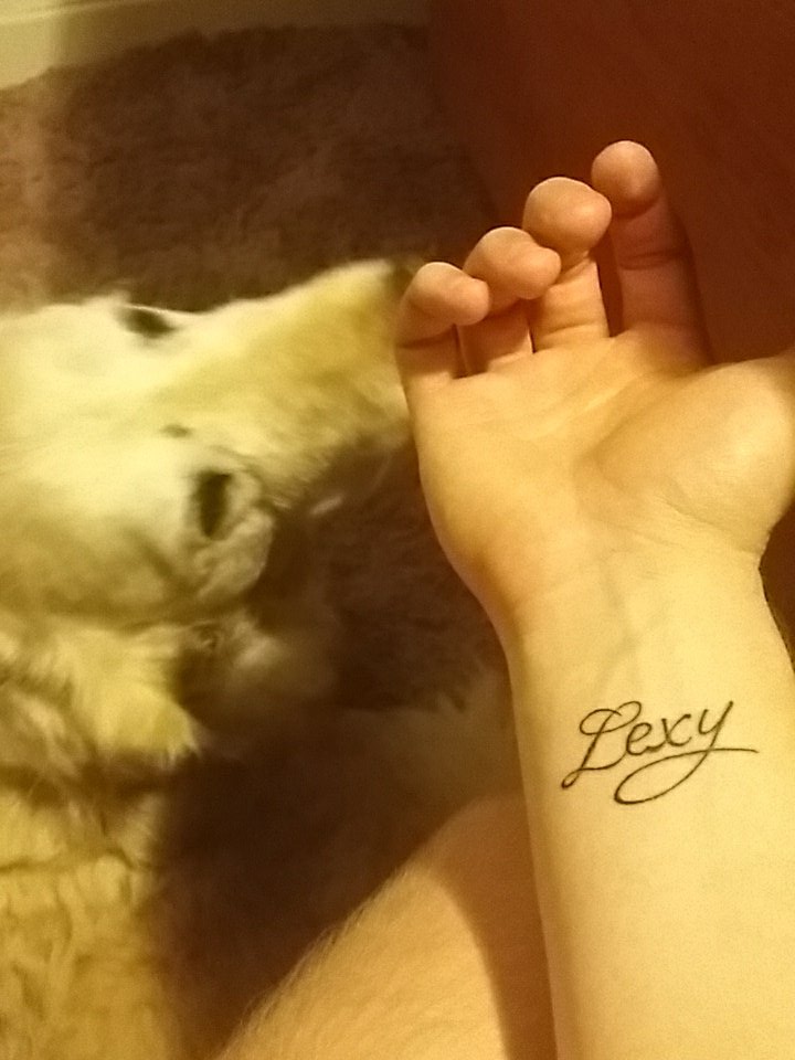 AbsyLoon [Lexy] tweet media