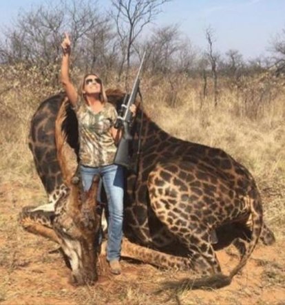 PROTECT ALL WILDLIFE tweet media