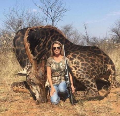 PROTECT ALL WILDLIFE tweet media