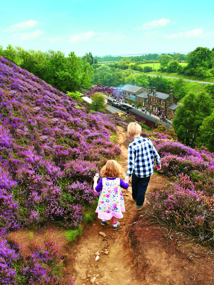 Hello Yorkshire tweet media
