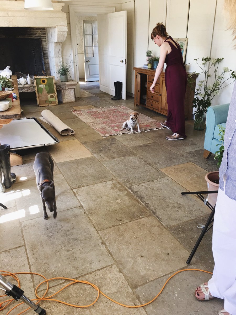 catrionaarcher's tweet photo. I’m not just an Interior Stylist you know... My other talents include dog training! Behind the scenes of last months photoshoot 🌿
#catrionaarcher #bathinteriors #bathstyling #styling #interiorstylist #interiordesigner https://t.co/XYy4zoq5xk