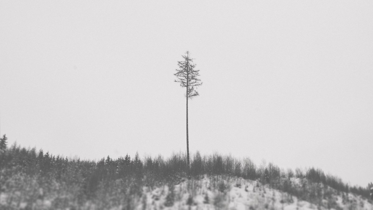 AndoMcDonnell's tweet photo. Take a risk, be yourself.
Read more in this free to read post on Patreon: https://t.co/zJAywkRVUt
_
Photo: Daniil Kusalev
Post processing: Andō
Tags: #yourlifeswork #vocation #spiritualdirection #spiritualcounsel https://t.co/ctiM7LetHT