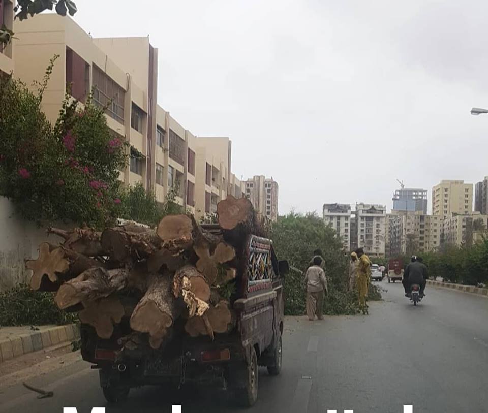 factwatchORG's tweet photo. Trees cut down near Askari, Cantt Station #Karachi, via Asad Iqbal https://t.co/WzwUJymtib