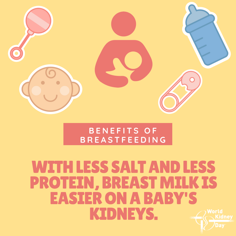 worldkidneyday's tweet photo. It's #WorldBreastfeedingWeek and we want you to know about the benefits of #breastfeeding 🤱 your baby, extending well beyond basic nutrition.
#KidneyHealthForAll starts with #women and #newborns.
#WednesdayWisdom https://t.co/wIvoufYb3I