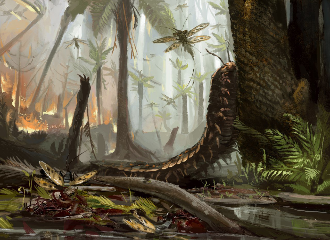 KiaBugBoy on Twitter: "My first entry for a paleoart contest, thought I'd depict the Carboniferous rainforest collapse #paleoart #digitalart #paleontology #carboniferous #arthropleura #paleodictyoptera #insect #treefern #lepidodendrales #art ...