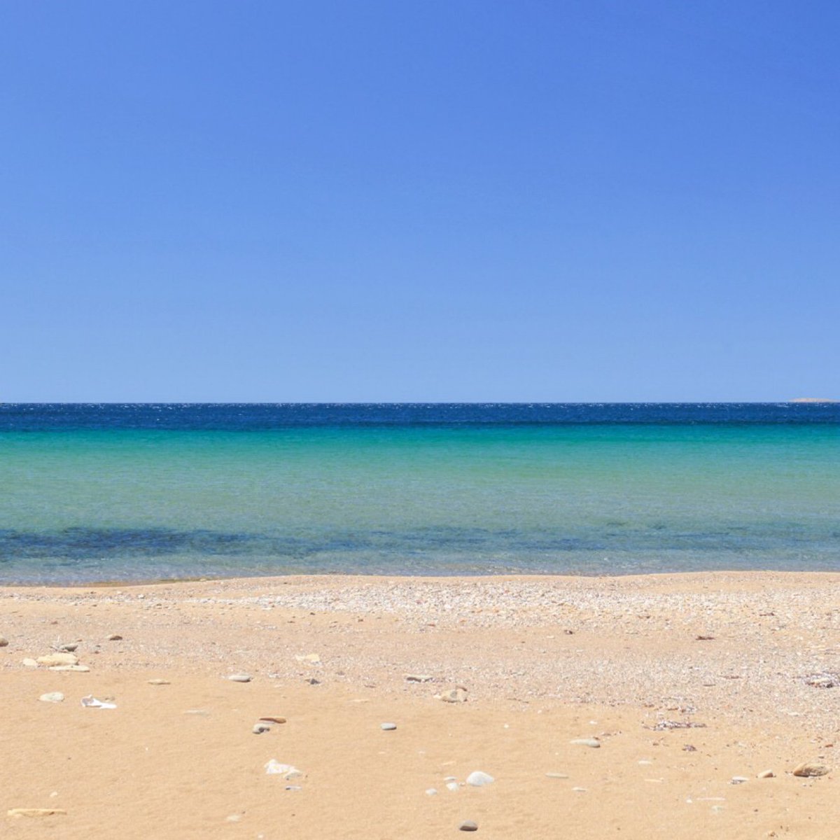 PravlisTravel's tweet photo. Hello August!! Who wouldn’t want to spend the entire day on one of the many beautiful beaches of #Lemnos?? #Limnos #lxs #PravlisTravel #islandtours #travelservices #myLemnos #bestbeach #visitLemnos #Greece #Greek_Islands #destinations #discoverLemnos #travel #ttot #island https://t.co/tlOAAhwmKj