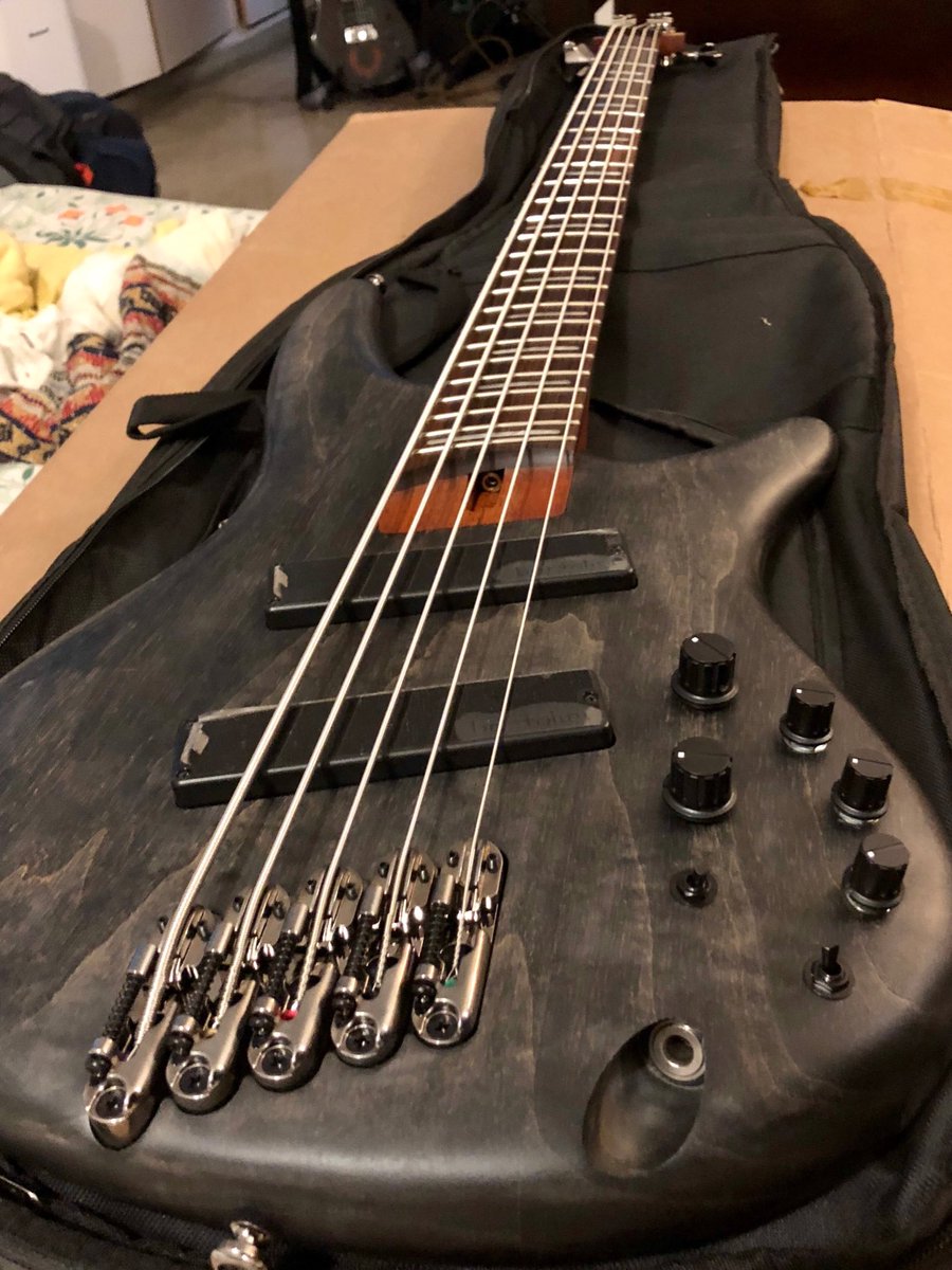 The newest member of the Distill family ⁦@ibanezofficial⁩ #srff805 #5string #bass #fannedfret #multiscale