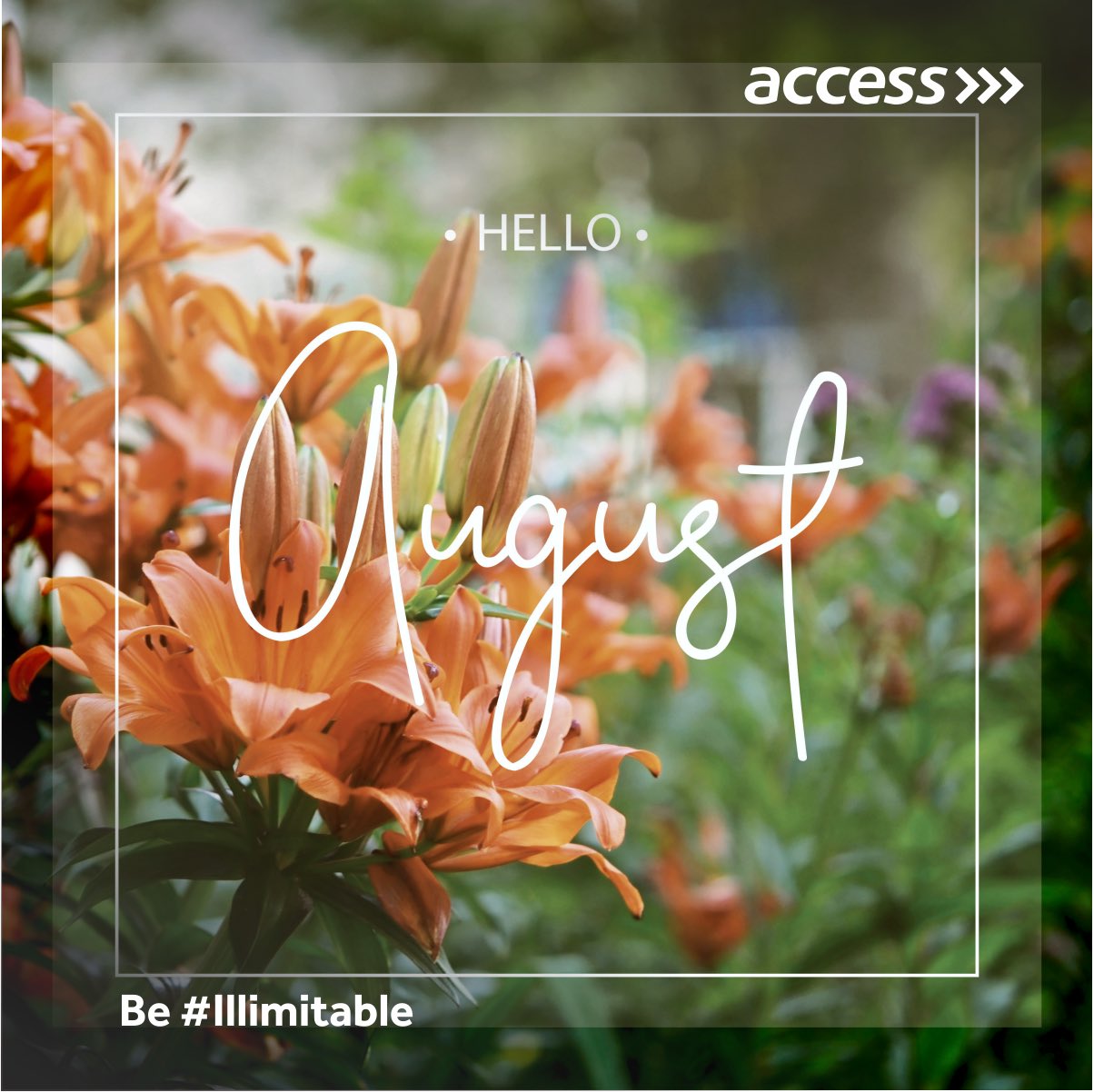 Welcome august
