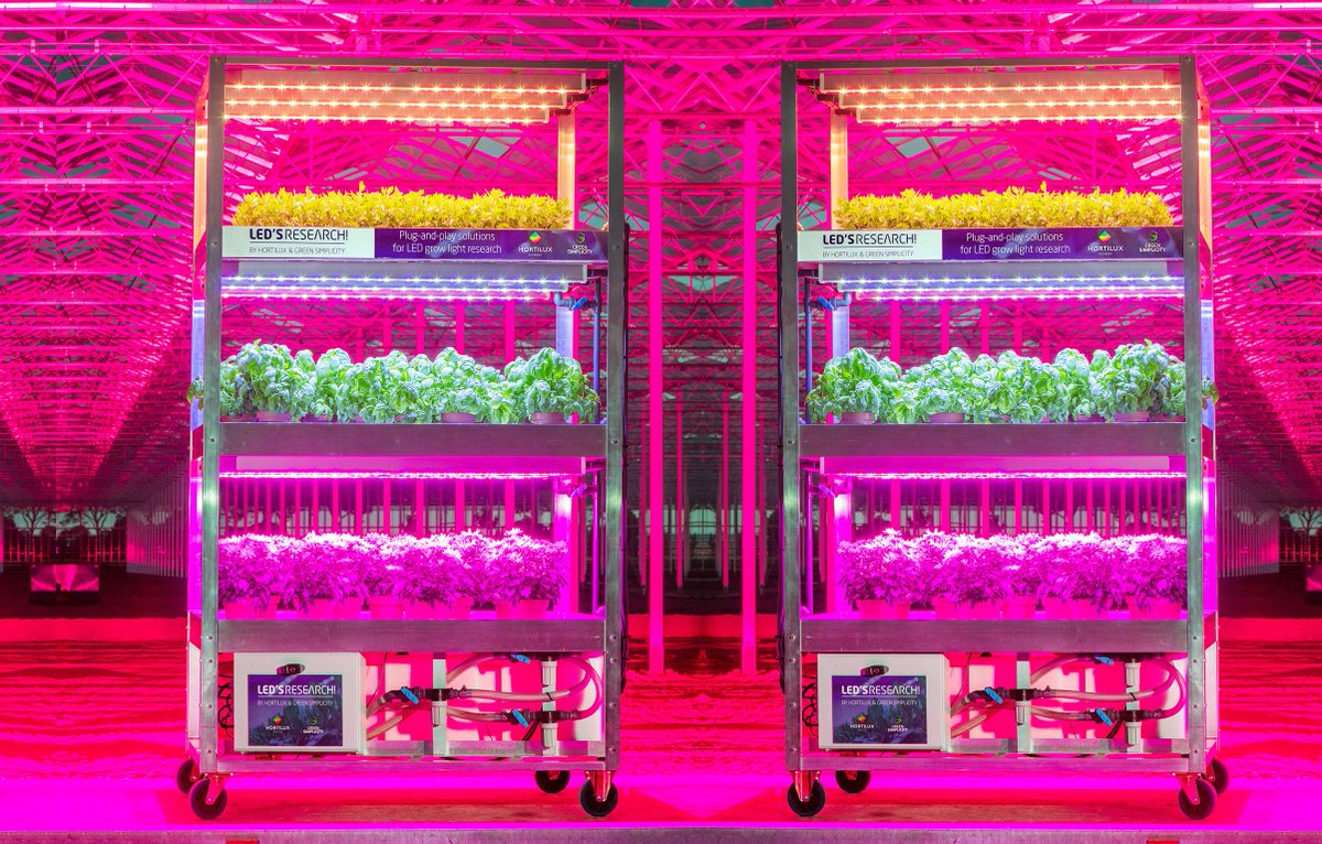 ledsresearch's tweet photo. Together with being the best solution for an upgrade of your climate chamber, the LED'S RESEARCH! Trolley also looks cool!

More information and other solutions for LED grow light research: https://t.co/LsNhNjNKHd https://t.co/NZZEeQ8mFT
