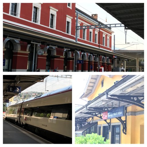 Susan E. Short tweet media