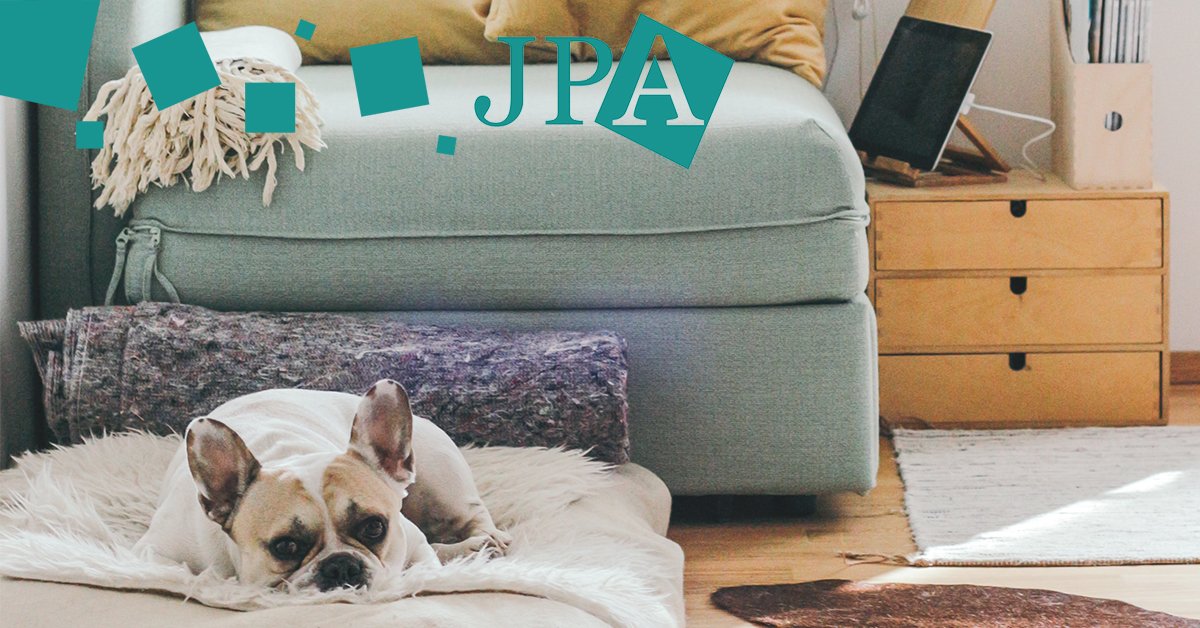 JPAFinancial's tweet photo. Are you in the process of #saving for your #firsthome? We have an array of specialist #financialadvisors over on our site that could help you make those important decisions about your #mortgage. Discover more here: https://t.co/GadIUpQLpH https://t.co/kJQF5QZeNi