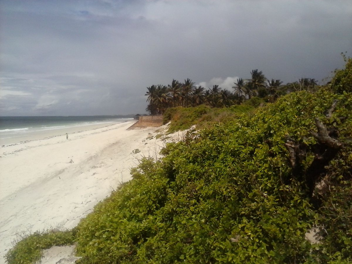 ShomotoRealtorz's tweet photo. Kilifi –Bofa Beach 2.5Acres For Sale, 1stRow Clean Sandy Beach. KES. 36Millions (Whole Parcel) #QuickSaleProperty #BeachPropertiesHOTDEALS #NorthCoastBeachPropertiesHOTDEALS #KilifiHOTDEALS
Retweet Please! https://t.co/3VYdqTijLl