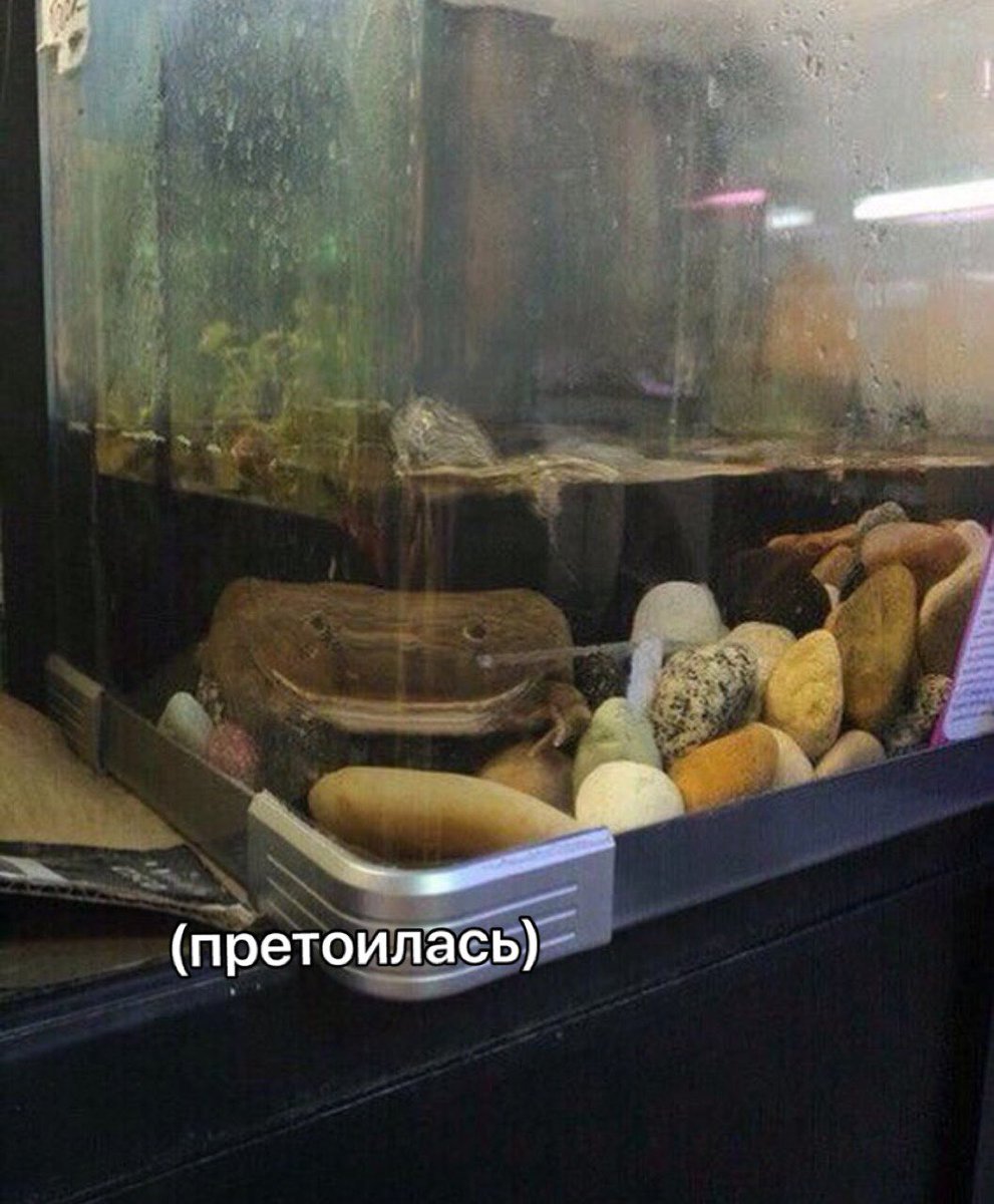 DjgTNnVXoAAPG4L.jpg