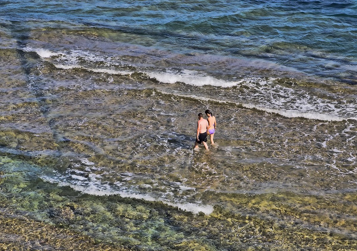Saborea el mes de agosto en #Calpe.
#cookbookhotel #hotelgastro #mediterráneo #beach #vacaciones