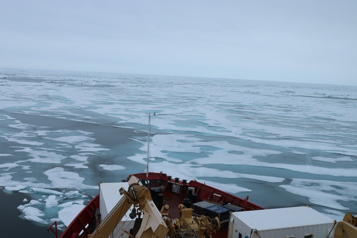MohamedMMAhmed's tweet photo. 3 different days with 3 different experiences, that's why I love doing science in the Arctic! #Arctic #BaySys #CabonCycle #HudsonBay @ArcticNet https://t.co/rNmmgjn4An