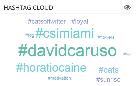 MartinaRosemann's tweet photo. My #Twitter "Hashtag Cloud" for today! #davidcaruso #csimiami #horatiocaine #catsoftwitter #LOYALl #fog #flowers #owl #Motivation #cats #sunrise https://t.co/uyAyPIkhn7