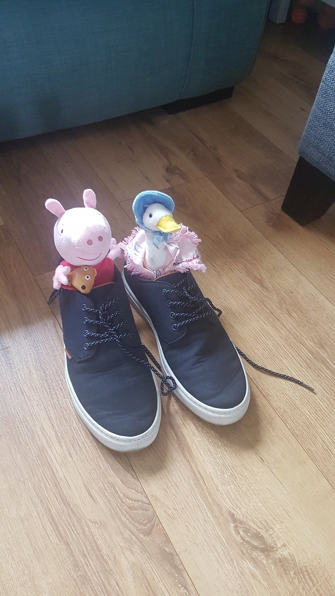 mikehoganmedia's tweet image. Went to get my runners. They now have passengers! 🤣