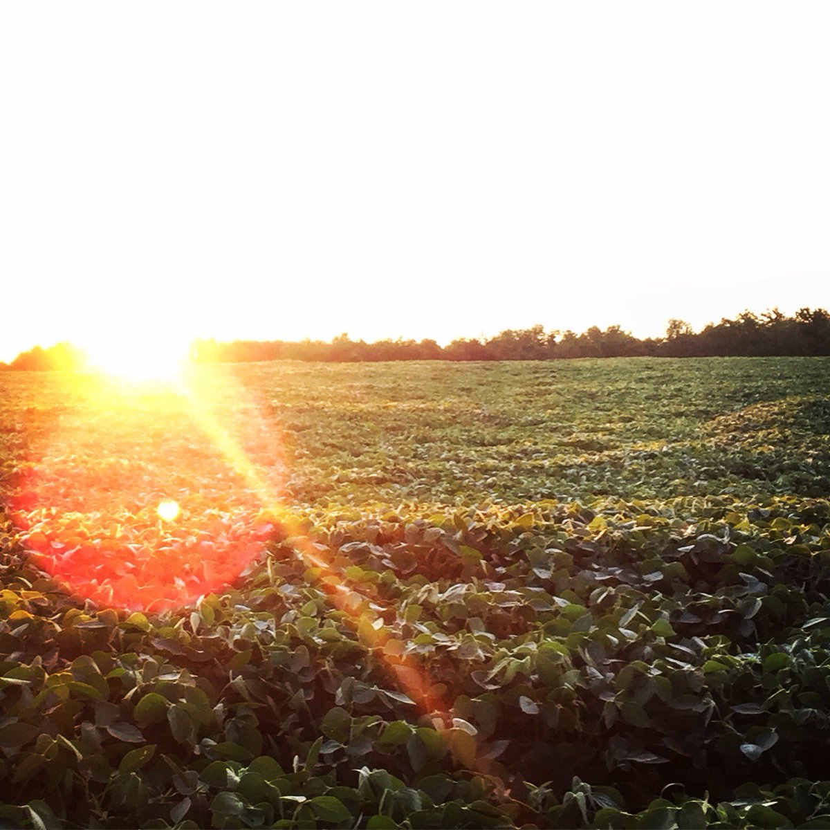AmyVanderheide's tweet photo. Sunrise. #nodescriptionneeded https://t.co/4cDhRDSW8N