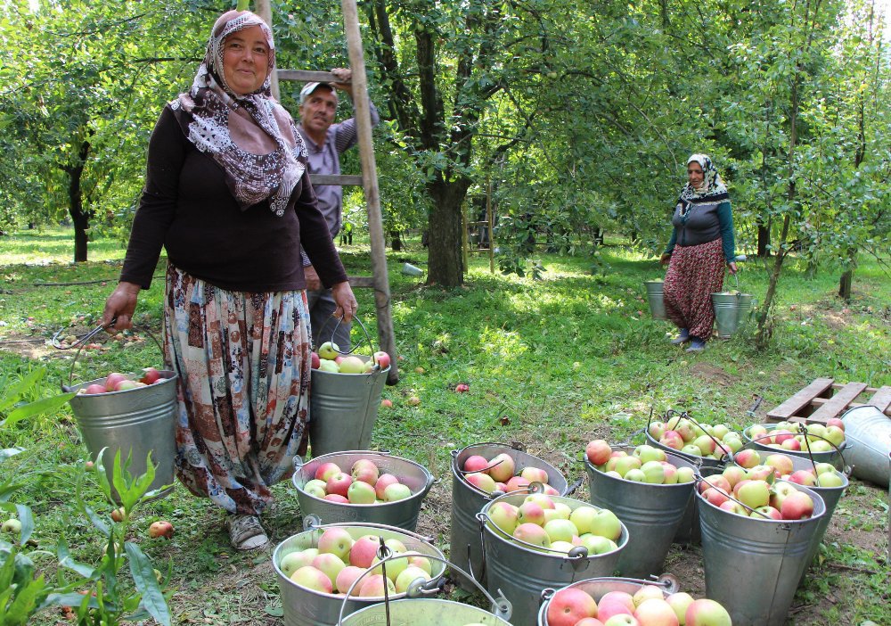 Mevsiminde aldığınız bir yerli elma 10 gram CO2 salımına sebep olurken, alacağınız bir ithal elma bunun yaklaşık 15 katı kadar CO2 salımına sebep olur.