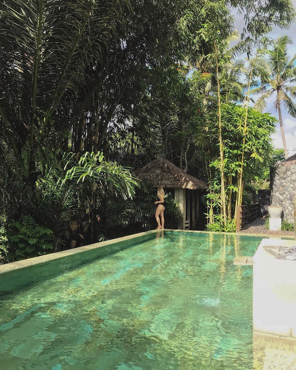 Jungle pool vibes! 🌴☀️ fall in #love with #Ubud just like our guest <a href="/18h09/">mina loca lovers</a> did ❤️ #ThePuristVillas #MyPurist #PuristExperiences

For inquiries and bookings please visit 🌐 thepuristvillas.com or email us directly at ✉ info@thepuristvillas.com